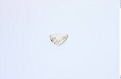 Foto von Diamant (NHMW-MIN-Ab5548)